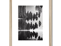 Photos of pine trees and trees in wooden frames on a table