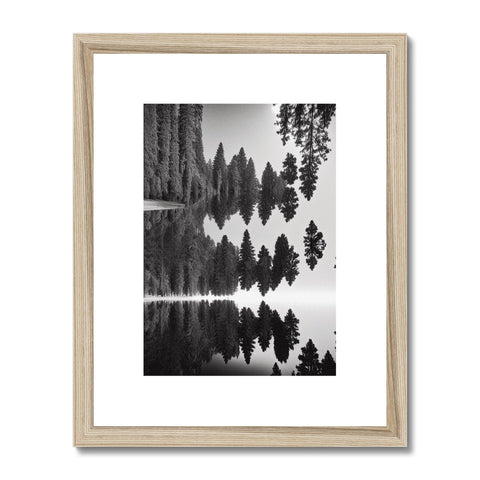 Photos of pine trees and trees in wooden frames on a table