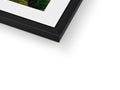 A frame with a picture of a green photo and a photo of black-and-