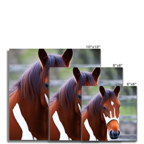 A brown horse has a large head and hooves