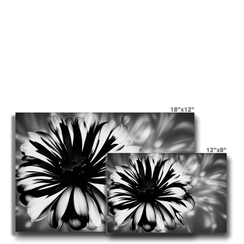 Vases of beautiful flowers that are displayed against a black background.