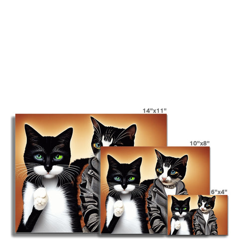A group of cats are sitting on a black-and white picture backdrop.