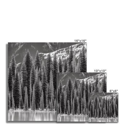 a bunch of trees next to a mountain range, mountain top and black and white sky