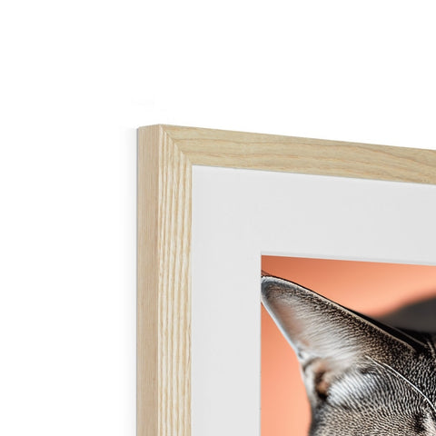 A cat peeks out of a wooden picture near the bottom of a picture frame.