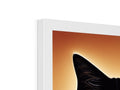 Cats face with its tail in the air in front of a cat picture frame in