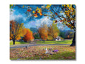 A colorful blanket with a photo of the beautiful trees and foliage on top.