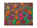 An indoor rug covered in colorful autumn leaves