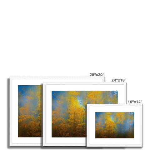 four photographs with trees in a living room area on a wall painted with bright colors.