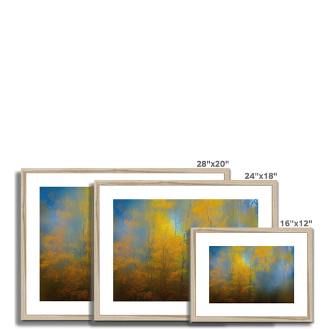 Four photographs with blue, orange, yellow, blue and brown trees on the side of