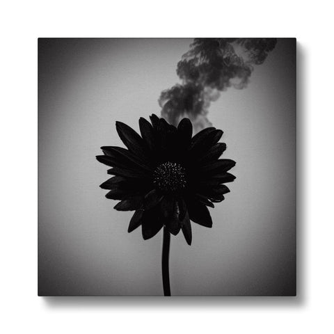 A flower is covered in a black and white photo of smoke.