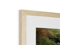 A photo of a picture frame, is on top of a wall, with wood frames