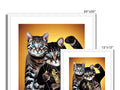 a cat and a cat sitting on a photo frame with three different prints on it