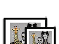 A picture frame containing four giraffe standing near other photos.