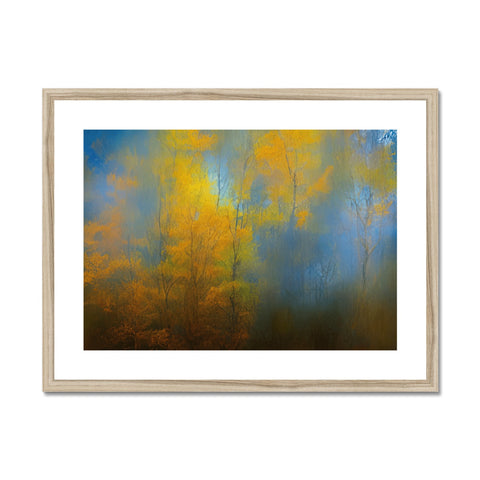 A blue and gold framed photo of woods with a silver background next to a white sky