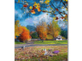A large framed picture showing beautiful autumn foliage hanging on a wooden panel with a colorful blanket