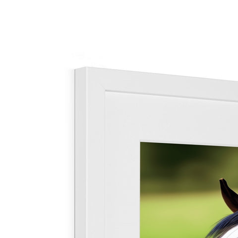 a picture frame holding a white horse in front of a white background