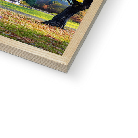 A photograph of trees is pictured on a wooden frame next to a book that has been