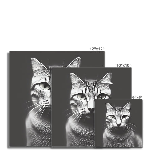 a photo of several cat prints on a white paper board that say a greeting card in