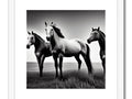 A beautiful, black and white image of horses grazing in sandy grass.