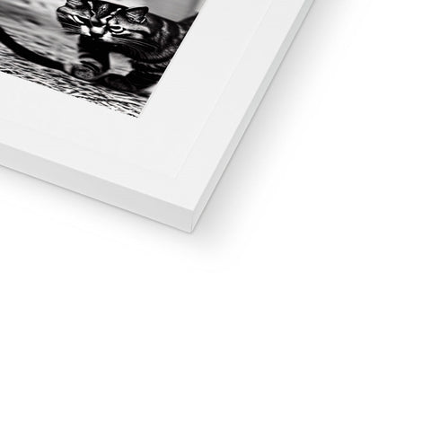 A black and white photo frame with a cat standing next to an art book.