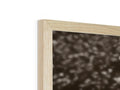 A photo is placed on top of a wooden case with a wood background.