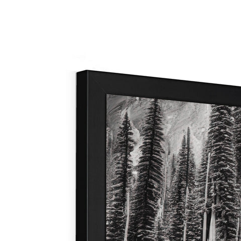A large black and white picture of a white picture frame with a forest.