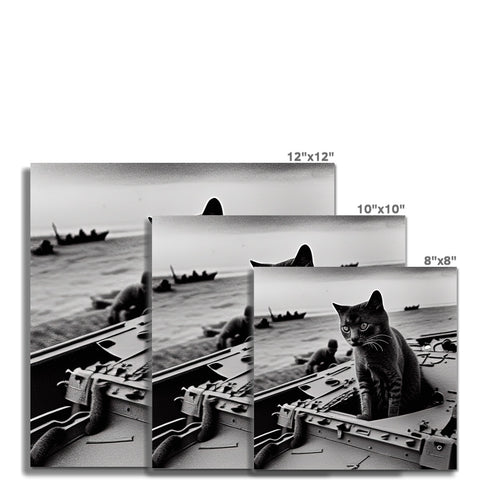 A photo of an aircraft carrier and its cat sitting on top of a filmstrip.