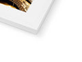 There is a pretty brown photograph of a picture frame on a book top with gold foil