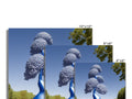 Three images on a display of different trees on a desktop computer.