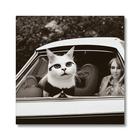 A white cat standing on the side of a car hood. Advertisements