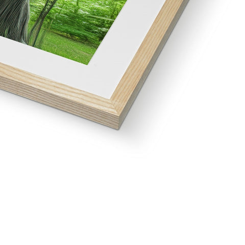 Wooded picture is seen in a frame next to two white photos on a table.