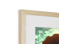 A picture on a wooden frame holding objects of a beautiful tree on top of a red