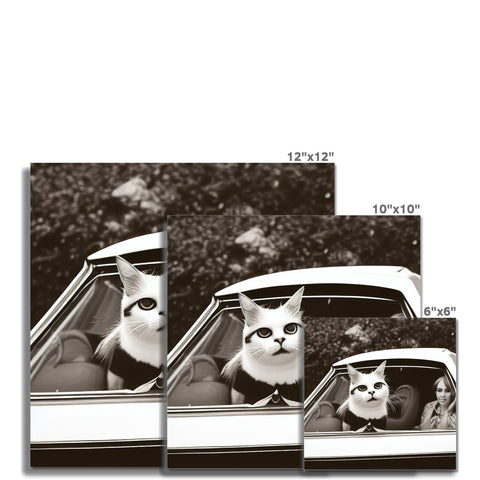 a photo frames with multiple cats and cars behind it