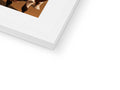 A picture of a brown picture frame sitting on top of a book. (white photograph