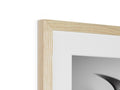 a piece of wood framed in the top of a picture frame