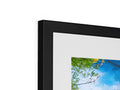 A picture of a picture frame with different landscapes, trees, colors and art on it