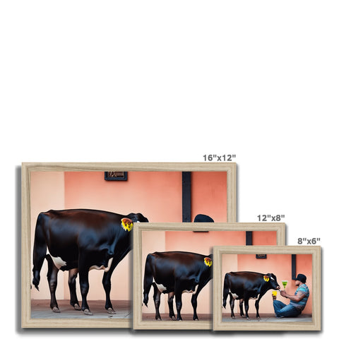 A large cow standing on a black and white picture frame. Photo for the front of