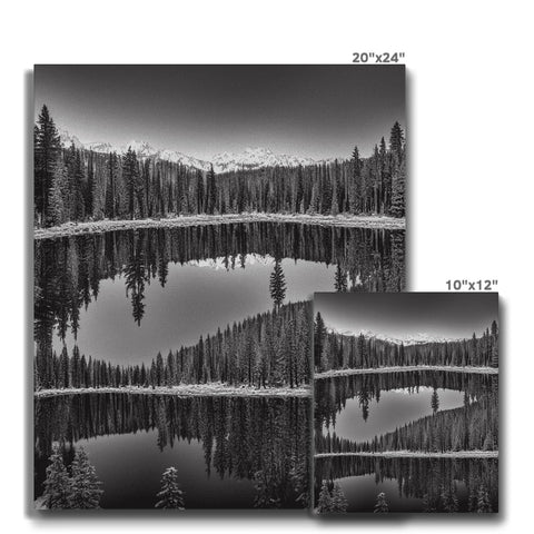 The two images are mirror images of a tree line near a snow covered field.