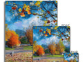 Several pictures of autumn trees hanging from a large display board.