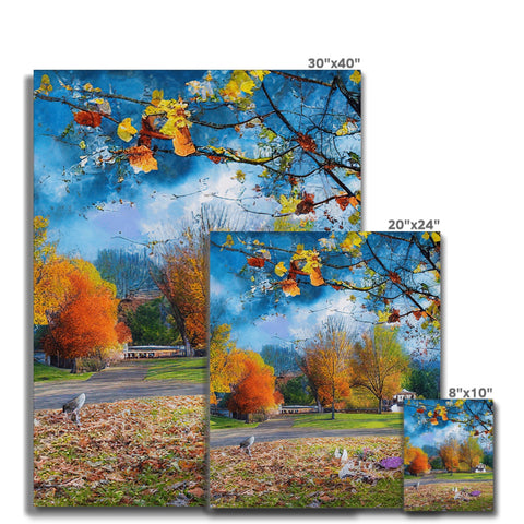 Several pictures of autumn trees hanging from a large display board.