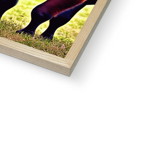 A picture frame with a horse standing in grass and a book sitting on the ground.