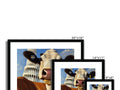 A small group of cows sitting on top of a picture frame in different states of the