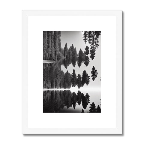 A wood framed photo of trees in a forest with four different shapes of tree on the