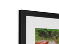 there is a close up of a horse standing on top of a picture frame