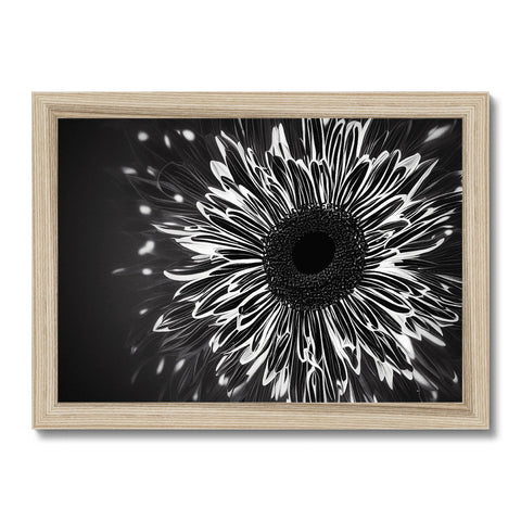 A photo of a black and white image of a sun is on a frame.