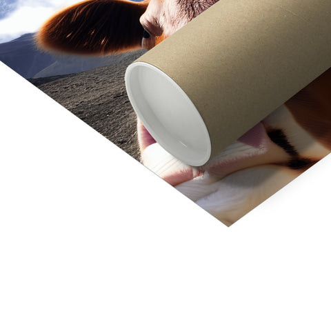 A paper roll on a white floor while a cow is standing behind it.