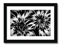 A black and white picture of flowers in an artwork photo frame.