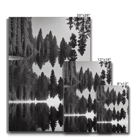 Four pictures of white wooden panels with pine trees in the background for the photo