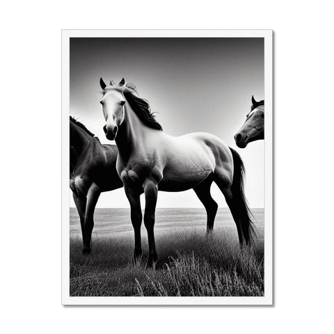 Two horses standing in front of grass on a black and white horse walk under a big