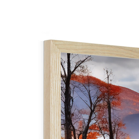 A wooden frame filled with a picture of a tree in the background of a photo.